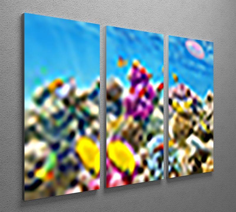 Wonderful and beautiful underwater 3 Split Panel Canvas Print - Canvas Art Rocks - 2