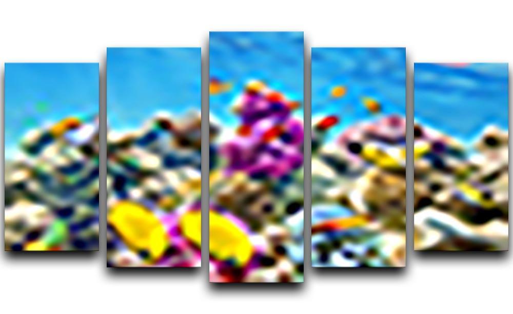 Wonderful and beautiful underwater 5 Split Panel Canvas  - Canvas Art Rocks - 1