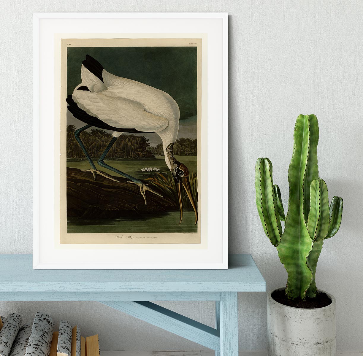 Wood Ibiss by Audubon Framed Print - Canvas Art Rocks - 5