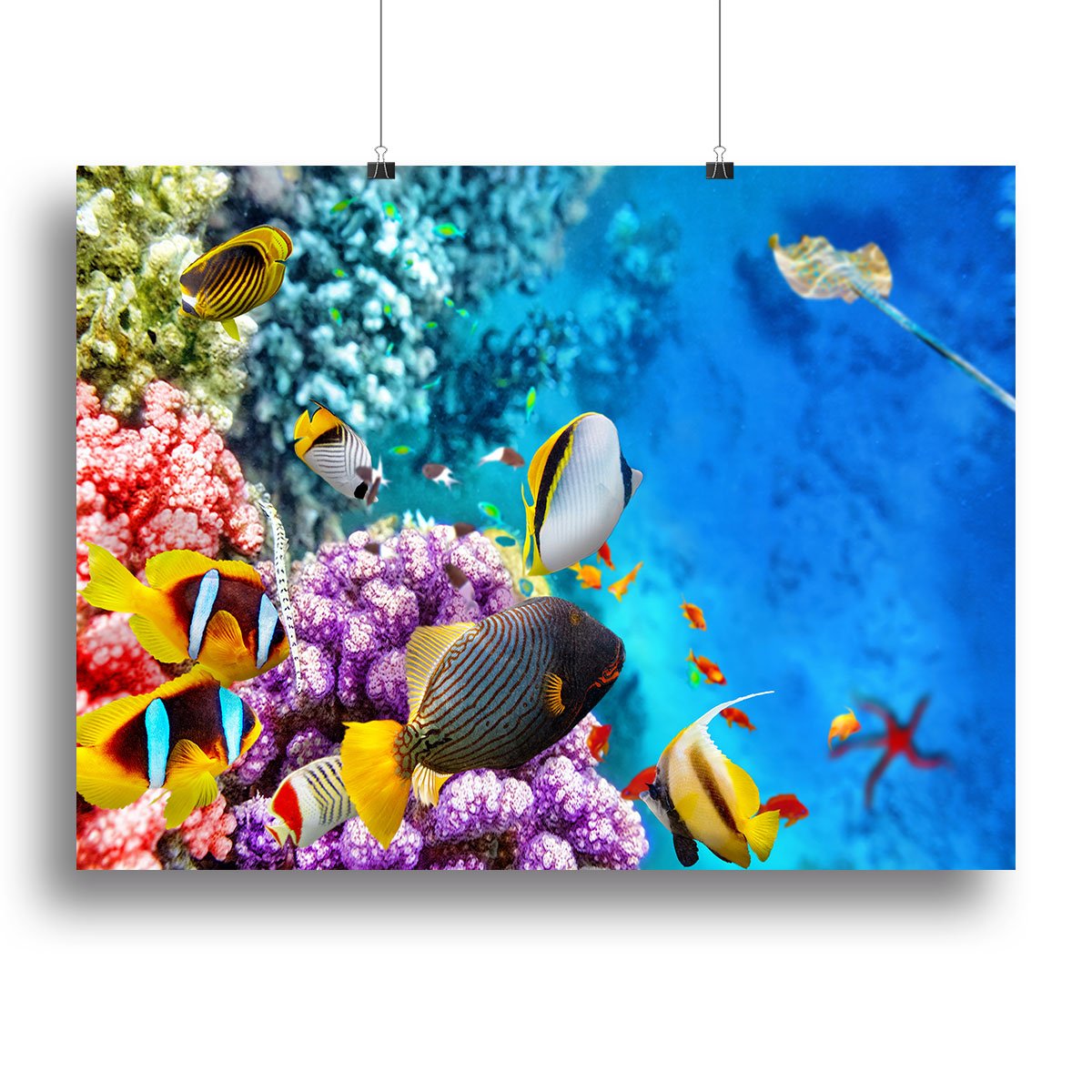 World with corals and tropical fish Canvas Print or Poster