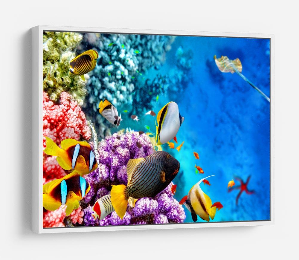 World with corals and tropical fish HD Metal Print