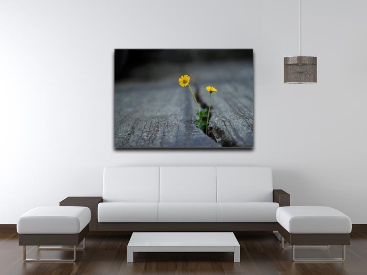 Yellow flower growing in street Canvas Print or Poster - Canvas Art Rocks - 4