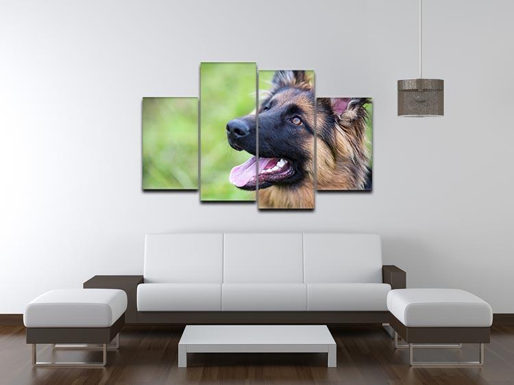 Young dog german shepherd on the grass in the park 4 Split Panel Canvas - Canvas Art Rocks - 3
