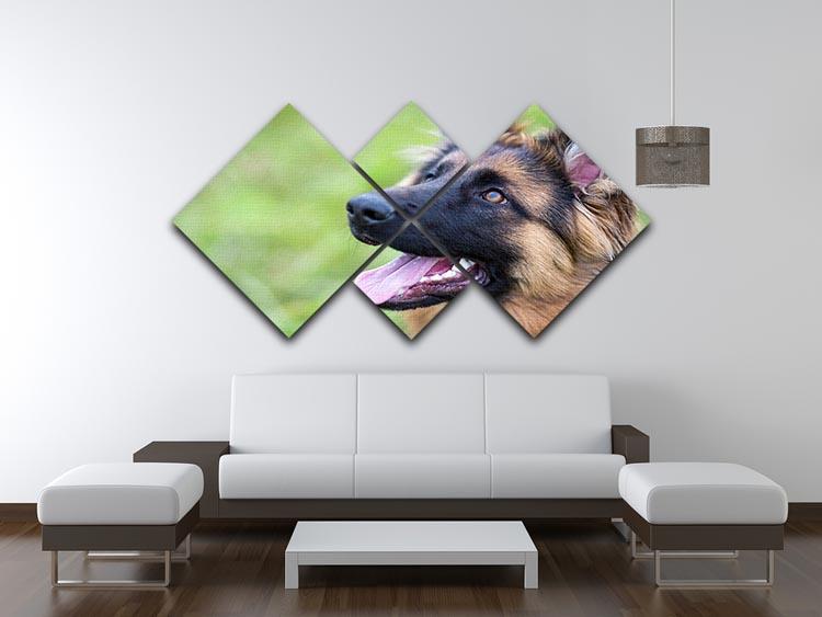 Young dog german shepherd on the grass in the park 4 Square Multi Panel Canvas - Canvas Art Rocks - 3