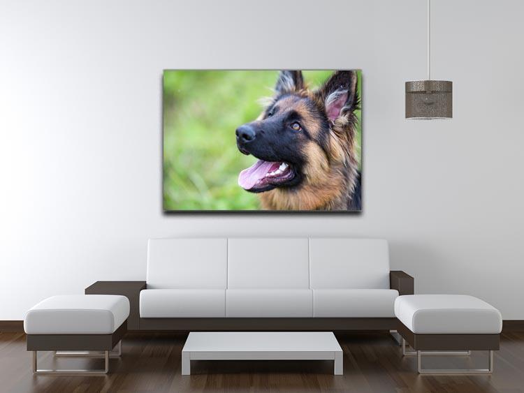 Young dog german shepherd on the grass in the park Canvas Print or Poster - Canvas Art Rocks - 4