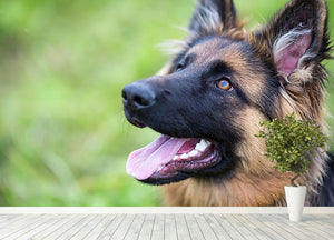 Young dog german shepherd on the grass in the park Wall Mural Wallpaper - Canvas Art Rocks - 4