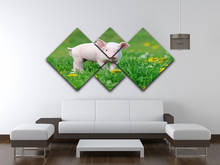 Young funny pig 4 Square Multi Panel Canvas - Canvas Art Rocks - 3