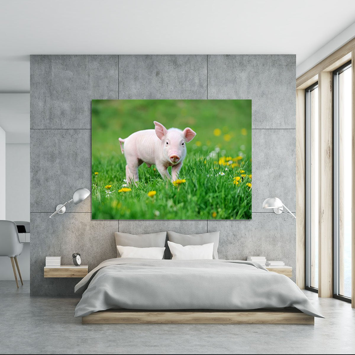 Young funny pig Canvas Print or Poster