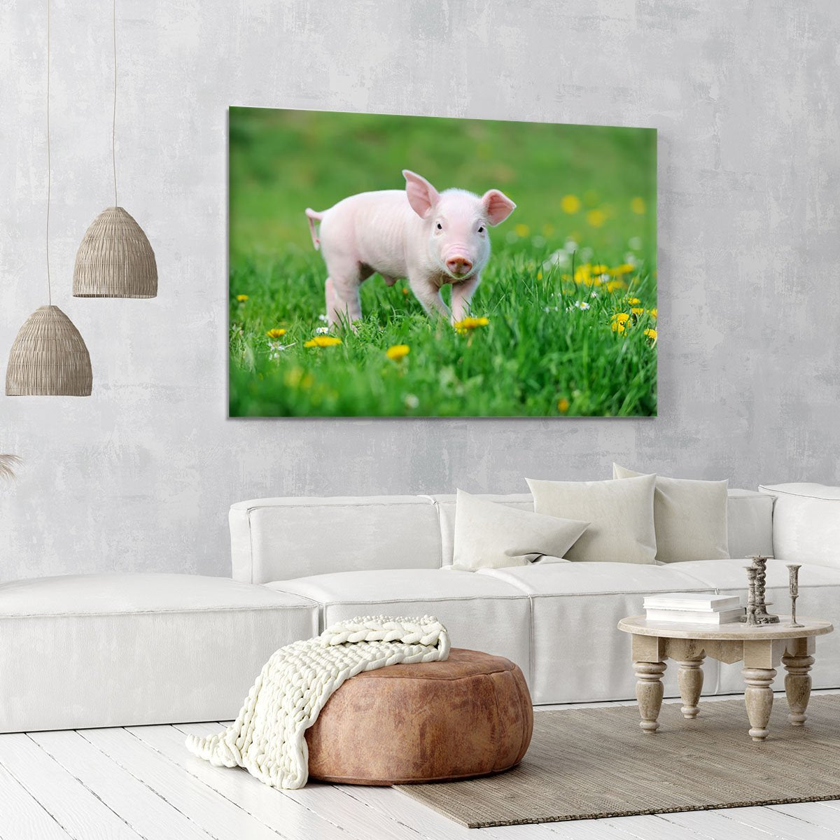 Young funny pig Canvas Print or Poster