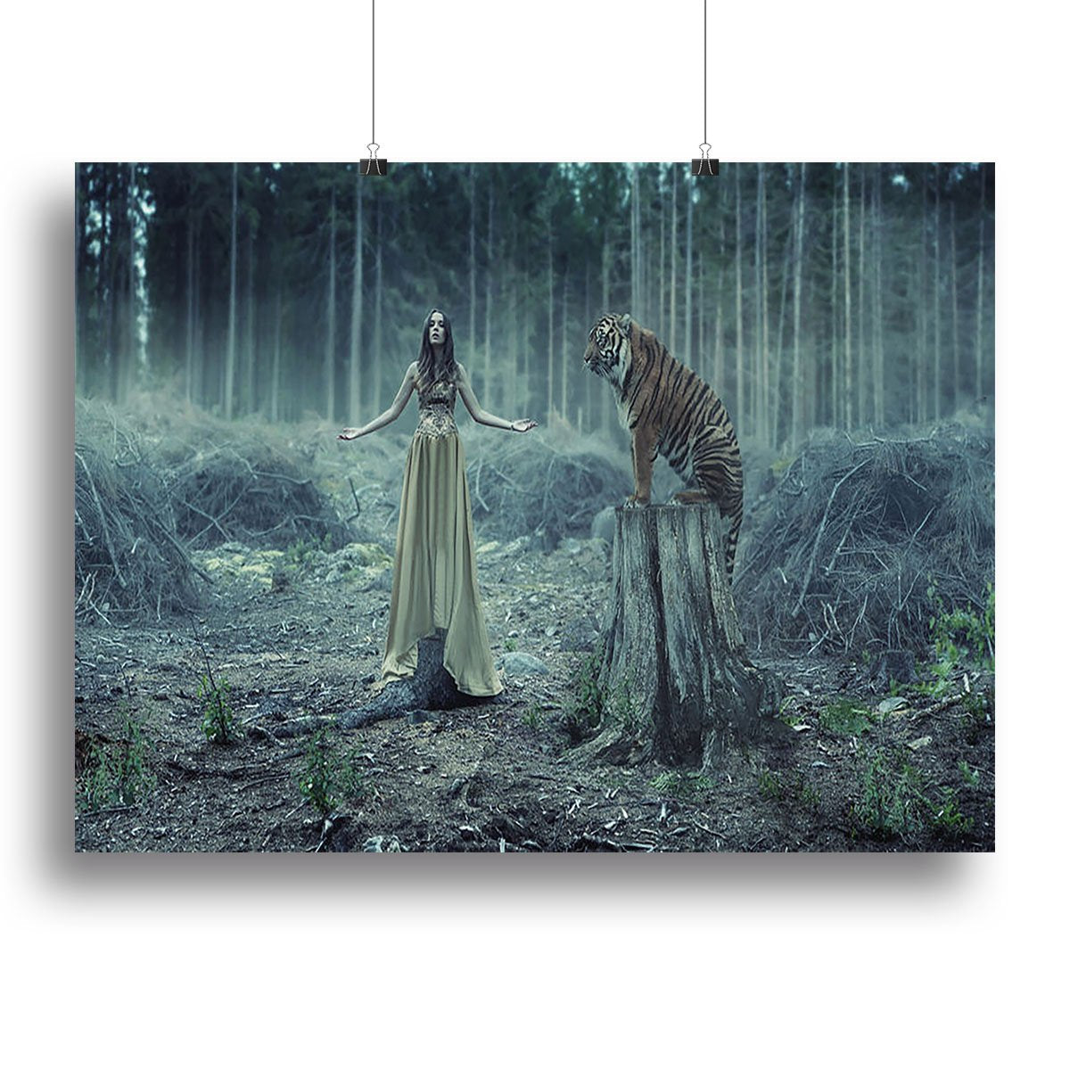 Young girl with a wild tiger Canvas Print or Poster