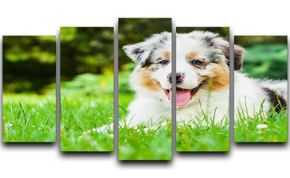 Young puppy lying on fresh green grass in public park 5 Split Panel Canvas - Canvas Art Rocks - 1
