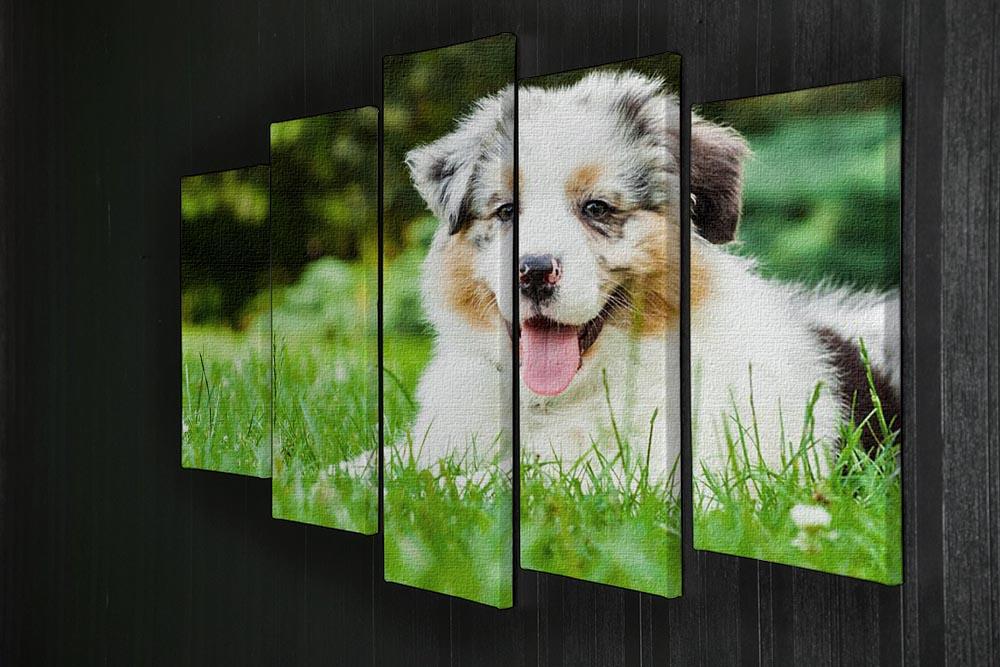 Young puppy lying on fresh green grass in public park 5 Split Panel Canvas - Canvas Art Rocks - 2