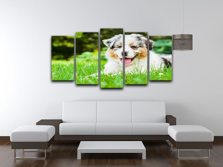 Young puppy lying on fresh green grass in public park 5 Split Panel Canvas - Canvas Art Rocks - 3
