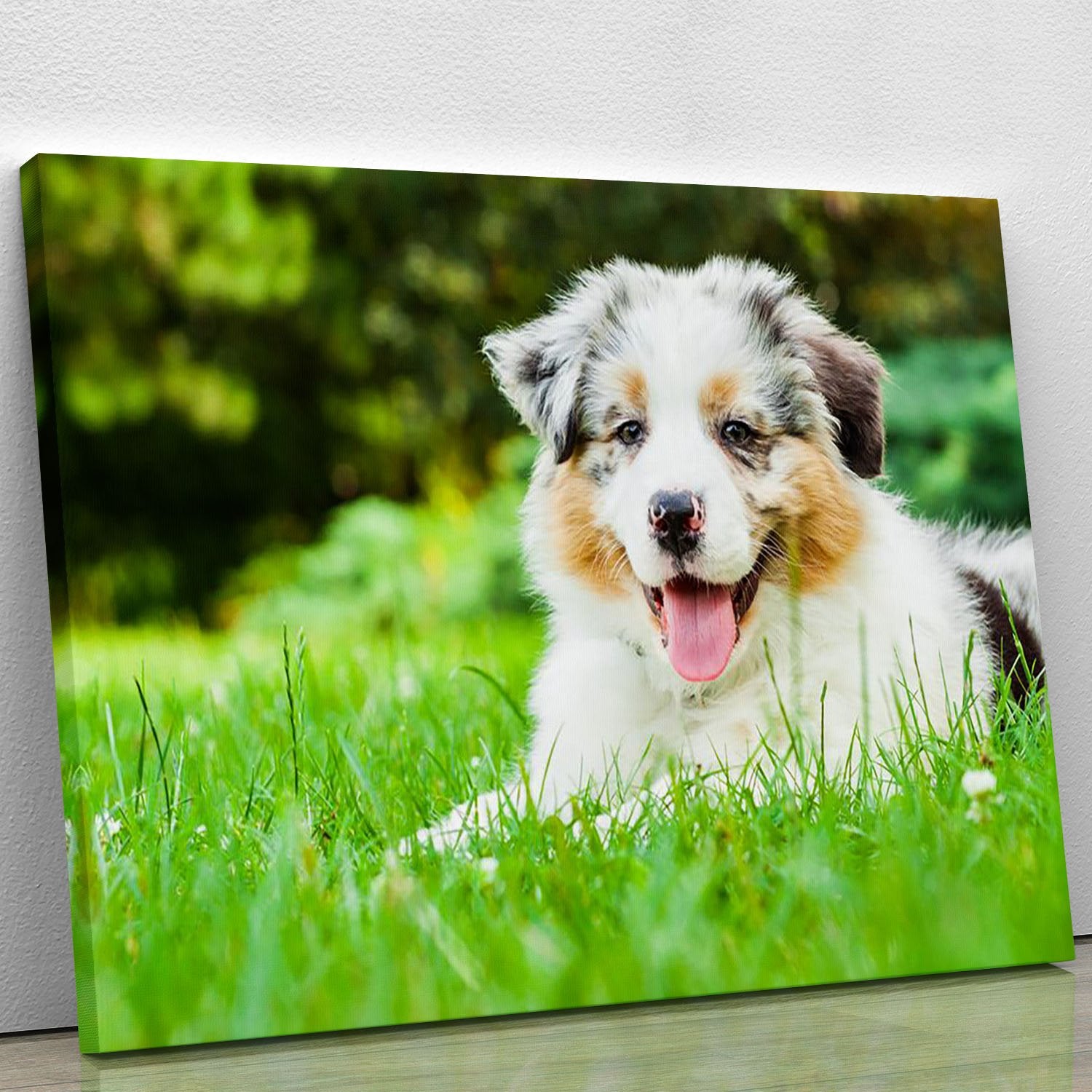 Young puppy lying on fresh green grass in public park Canvas Print or Poster