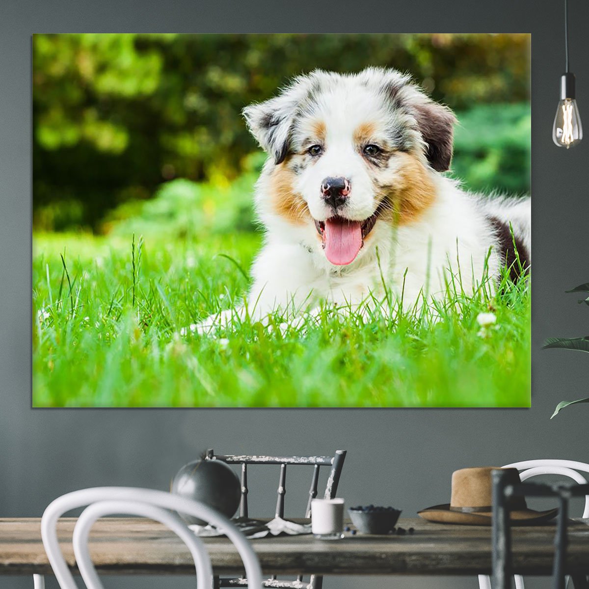 Young puppy lying on fresh green grass in public park Canvas Print or Poster