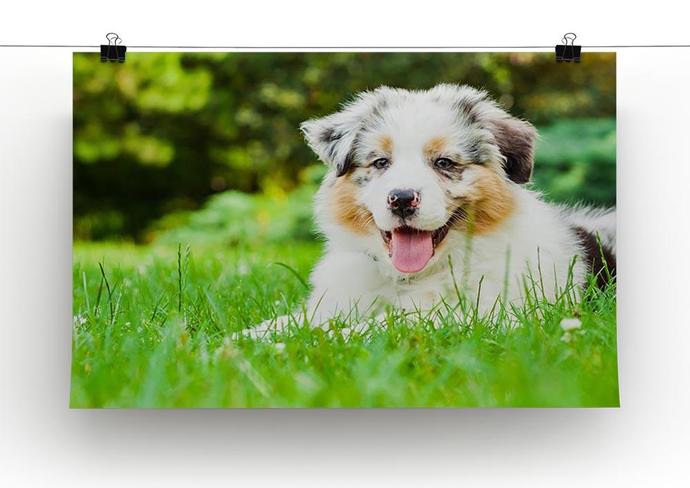 Young puppy lying on fresh green grass in public park Canvas Print or Poster - Canvas Art Rocks - 2