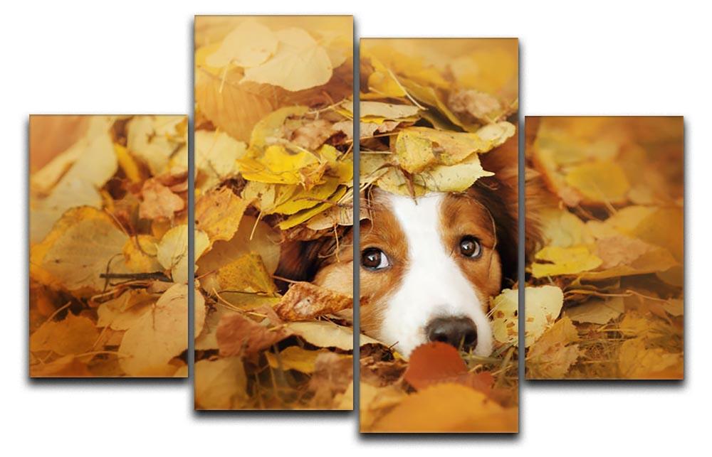 Young red border collie dog playing with leaves 4 Split Panel Canvas - Canvas Art Rocks - 1