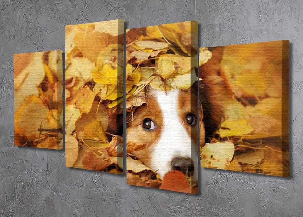 Young red border collie dog playing with leaves 4 Split Panel Canvas - Canvas Art Rocks - 2