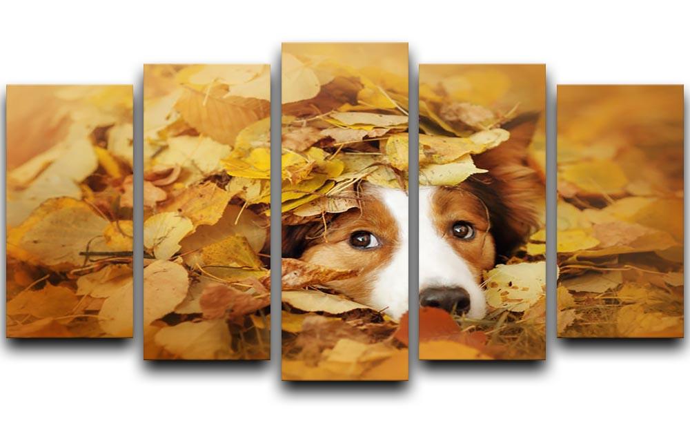 Young red border collie dog playing with leaves 5 Split Panel Canvas - Canvas Art Rocks - 1