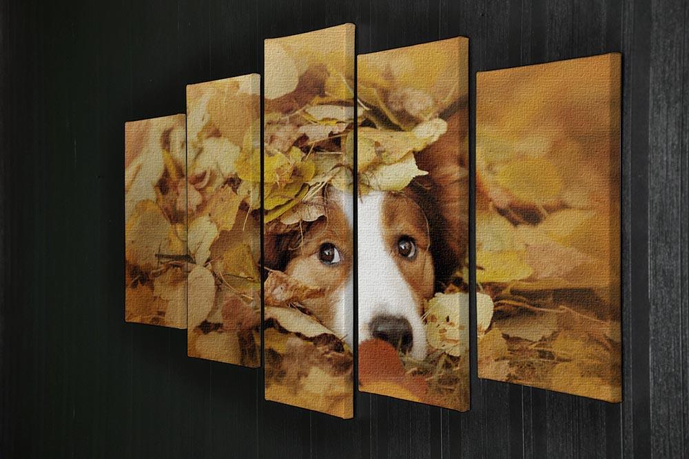 Young red border collie dog playing with leaves 5 Split Panel Canvas - Canvas Art Rocks - 2