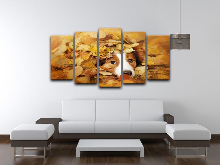 Young red border collie dog playing with leaves 5 Split Panel Canvas - Canvas Art Rocks - 3