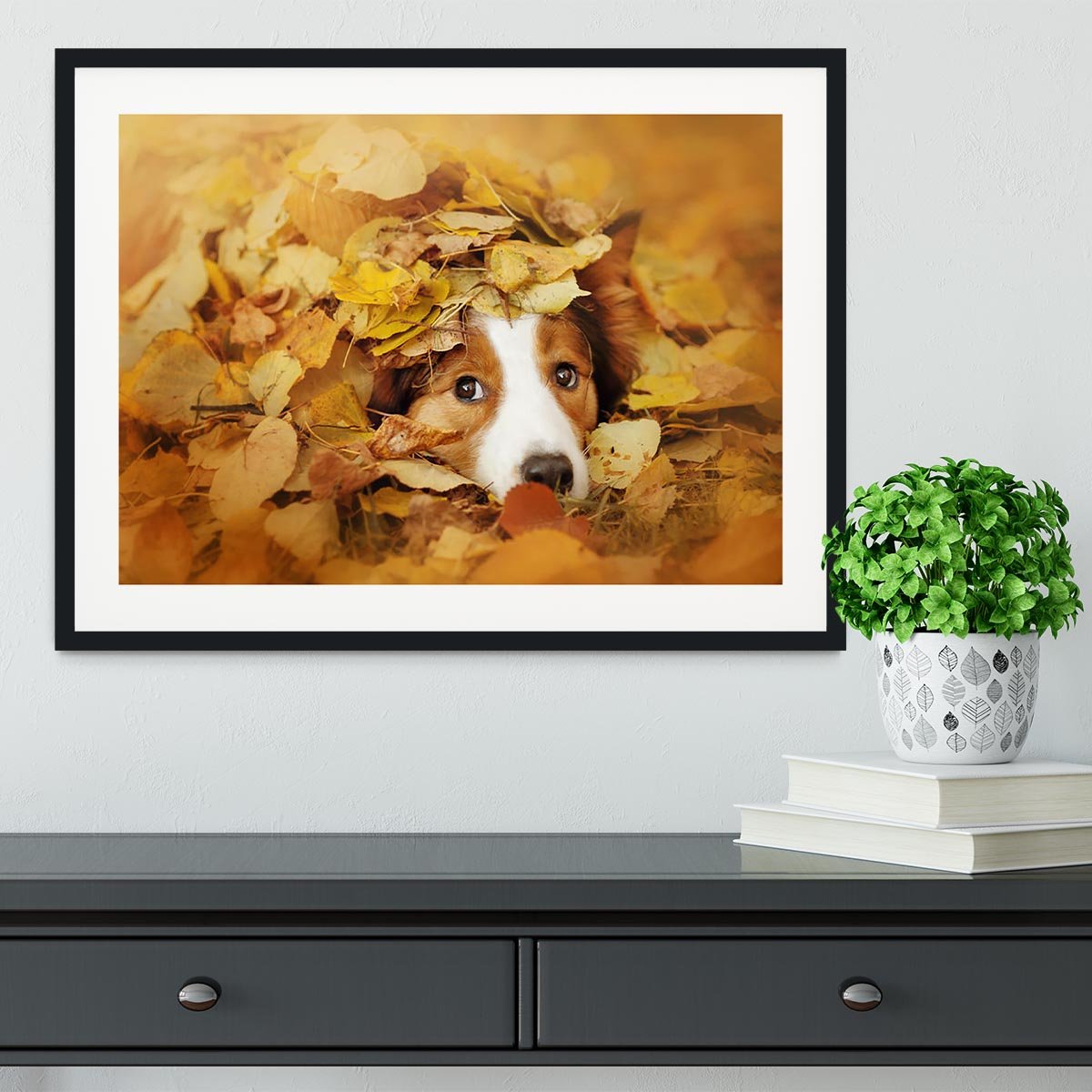 Young red border collie dog playing with leaves Framed Print - Canvas Art Rocks - 1