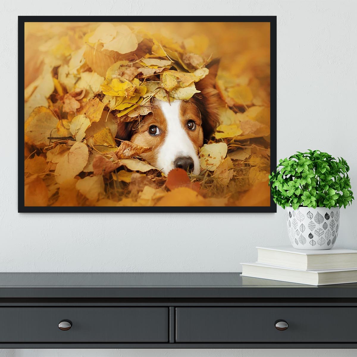 Young red border collie dog playing with leaves Framed Print - Canvas Art Rocks - 2