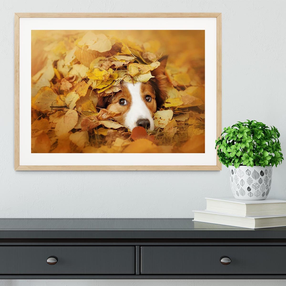 Young red border collie dog playing with leaves Framed Print - Canvas Art Rocks - 3