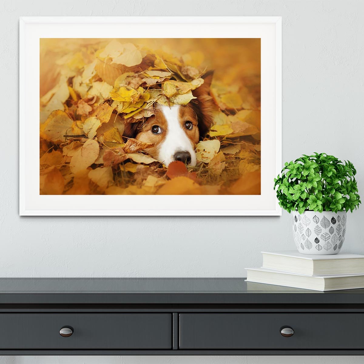 Young red border collie dog playing with leaves Framed Print - Canvas Art Rocks - 5