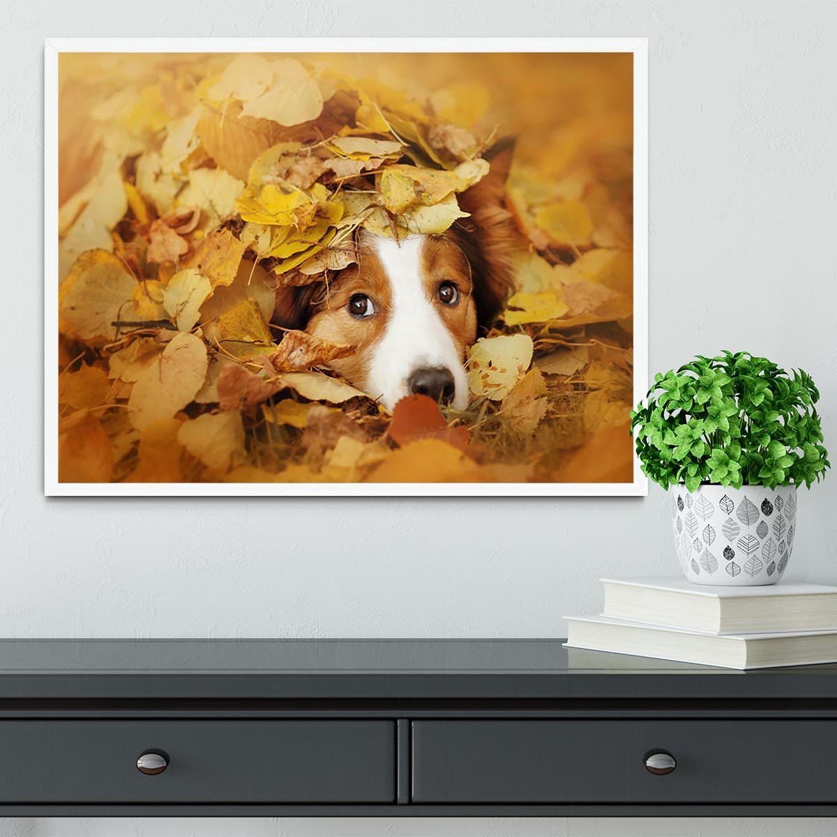 Young red border collie dog playing with leaves Framed Print - Canvas Art Rocks -6