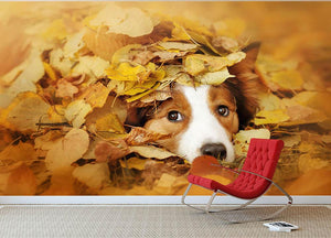 Young red border collie dog playing with leaves Wall Mural Wallpaper - Canvas Art Rocks - 2