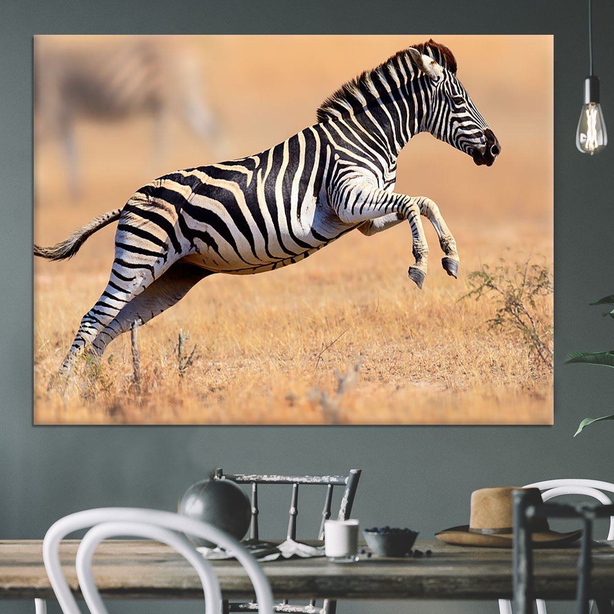 Zebra Canvas Print or Poster