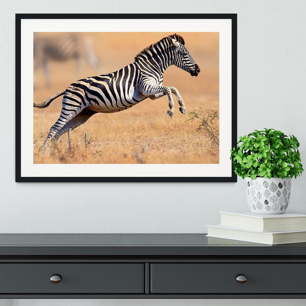 Zebra Framed Print - Canvas Art Rocks - 1