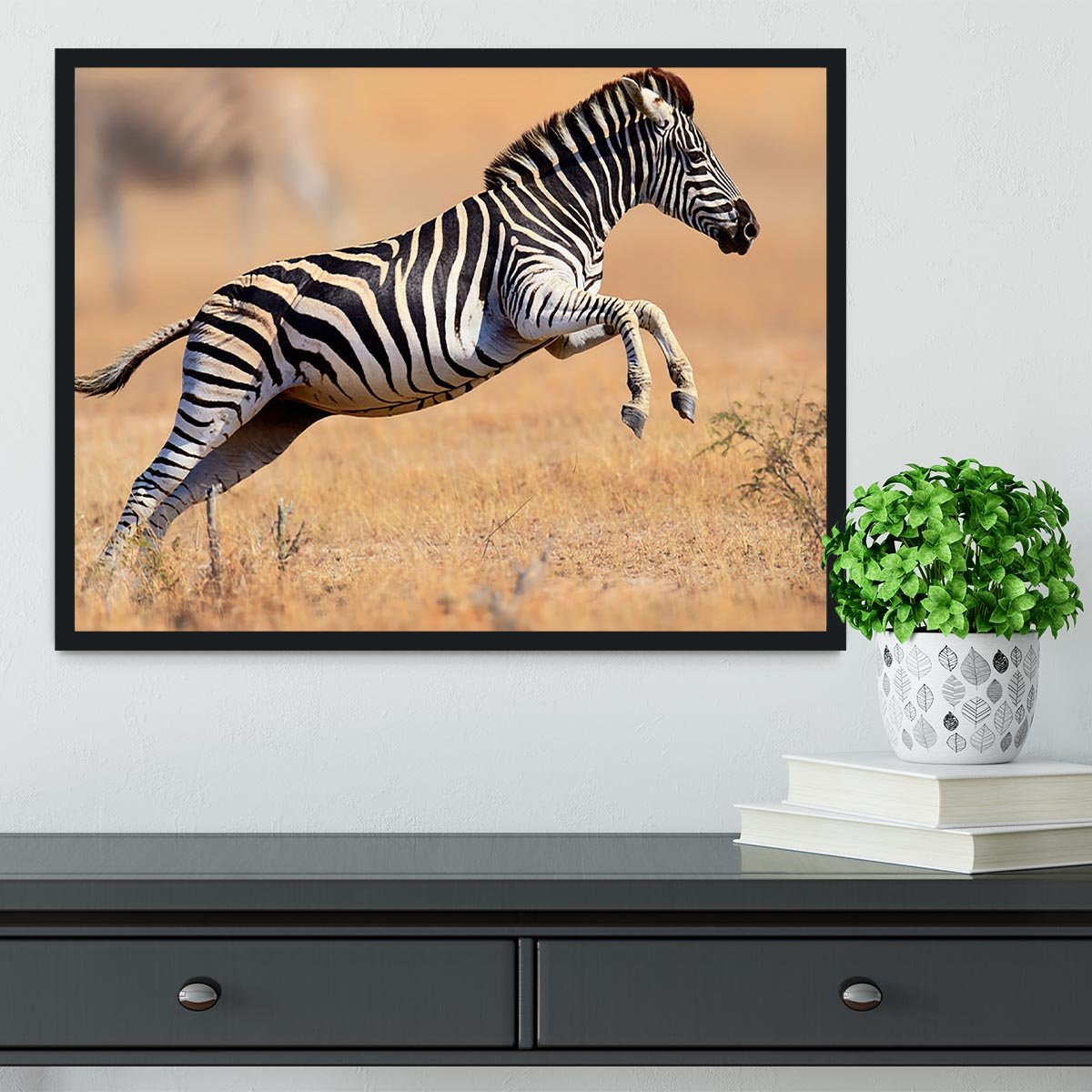 Zebra Framed Print - Canvas Art Rocks - 2