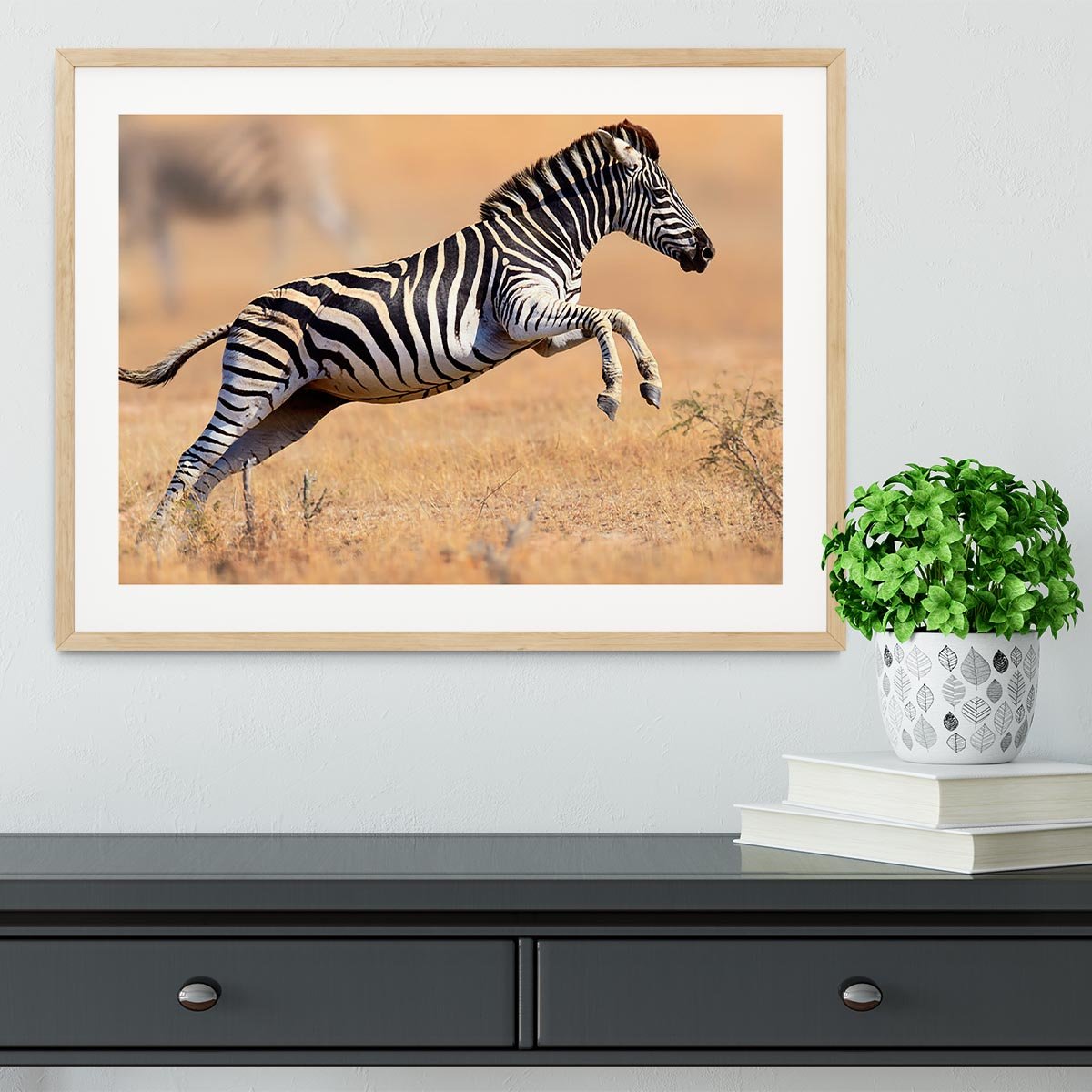 Zebra Framed Print - Canvas Art Rocks - 3