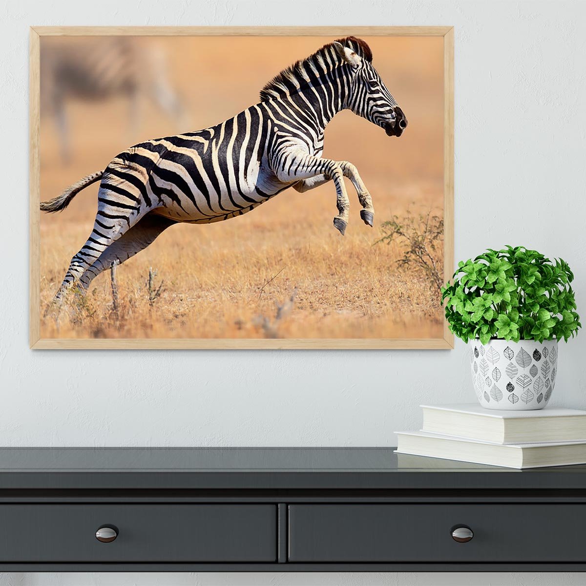 Zebra Framed Print - Canvas Art Rocks - 4