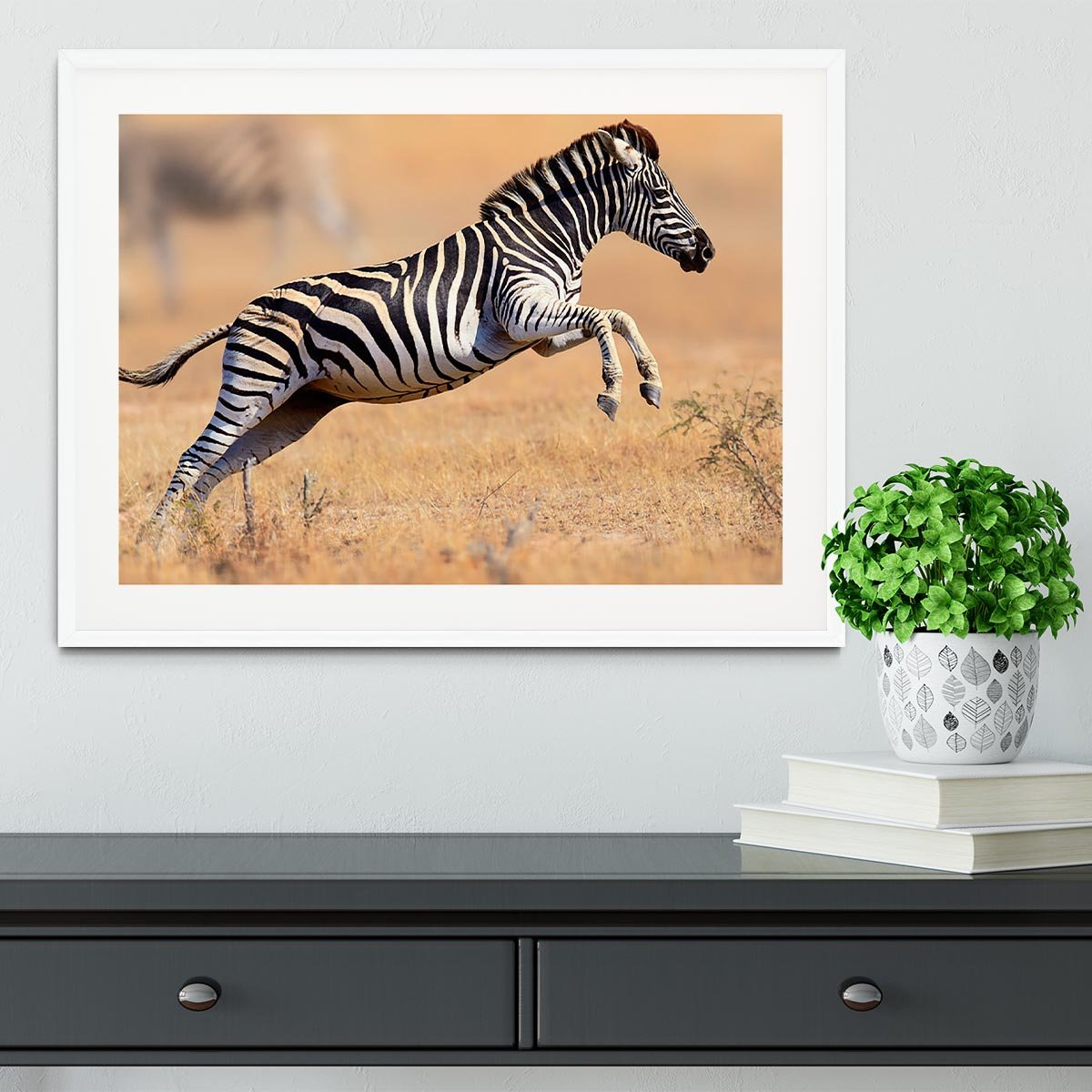 Zebra Framed Print - Canvas Art Rocks - 5