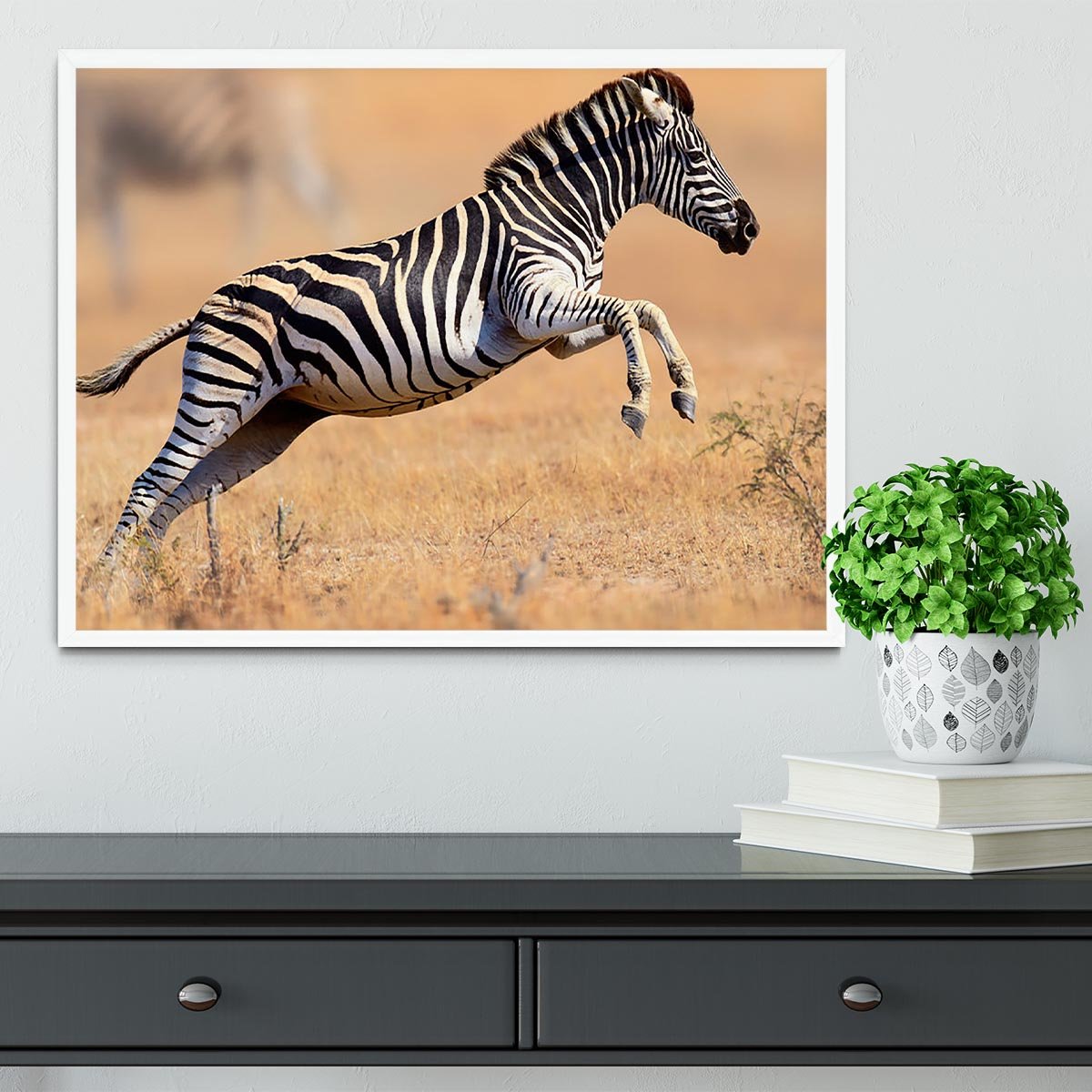 Zebra Framed Print - Canvas Art Rocks -6