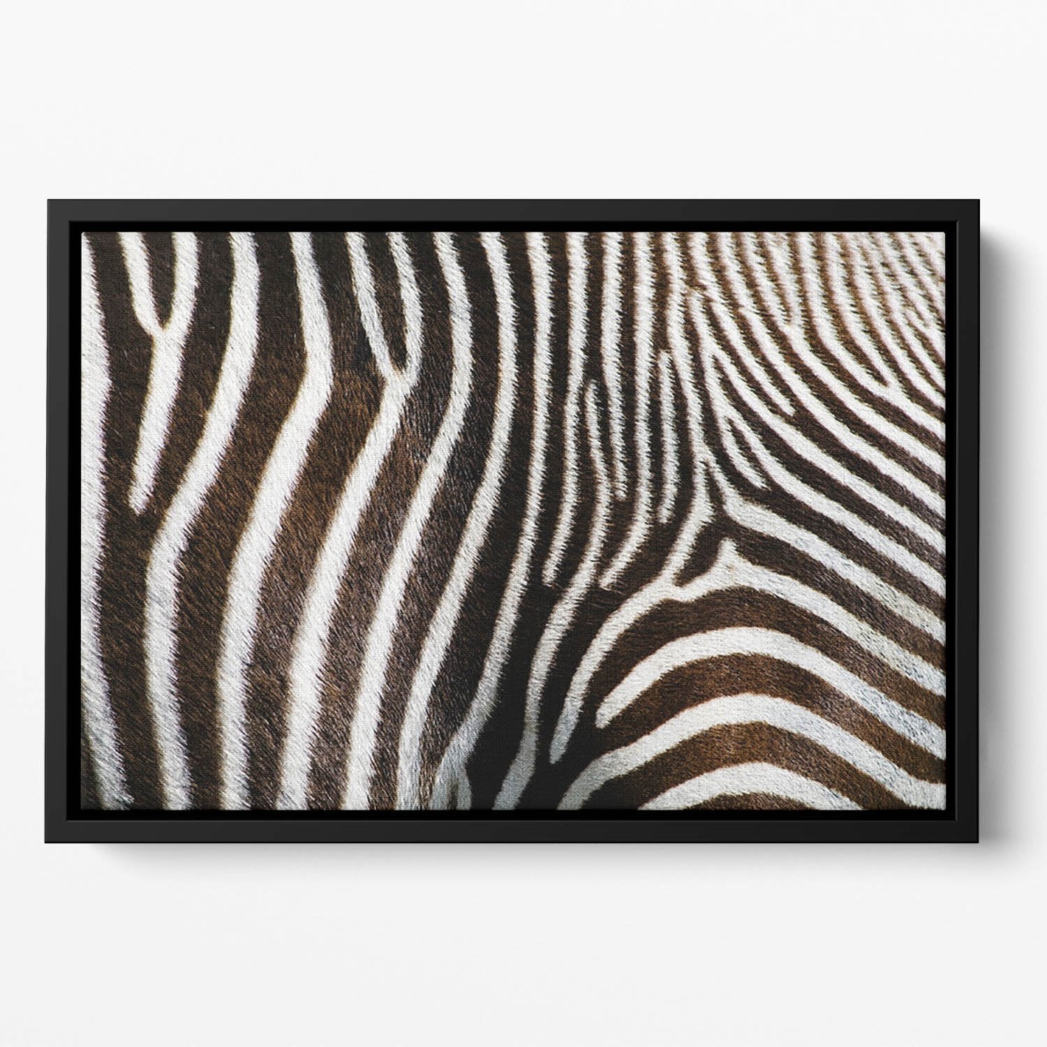 Zebra Fur Floating Framed Canvas