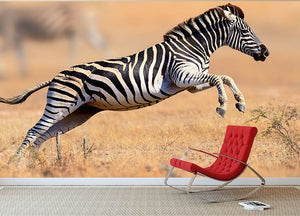 Zebra Wall Mural Wallpaper - Canvas Art Rocks - 2