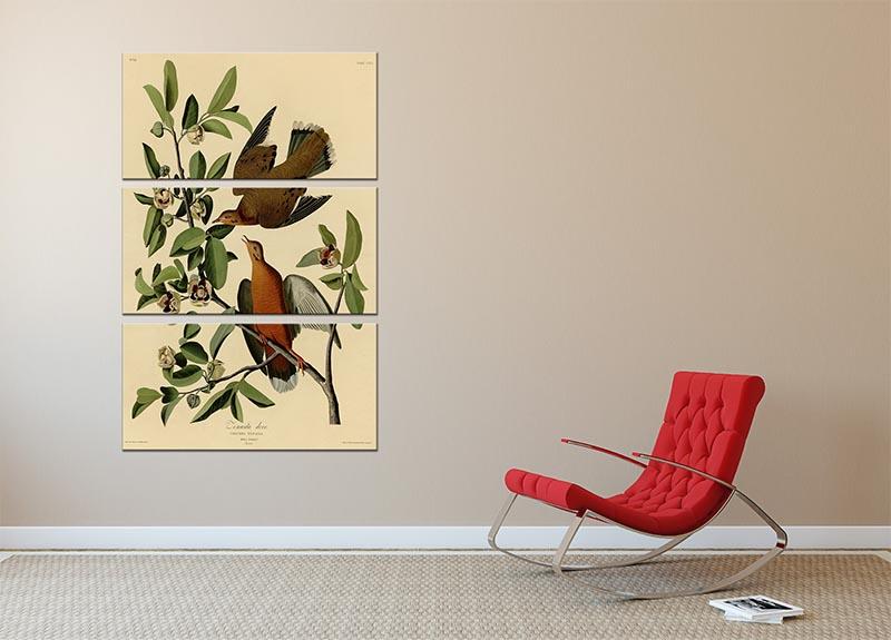 Zenaida Doves by Audubon 3 Split Panel Canvas Print - Canvas Art Rocks - 2