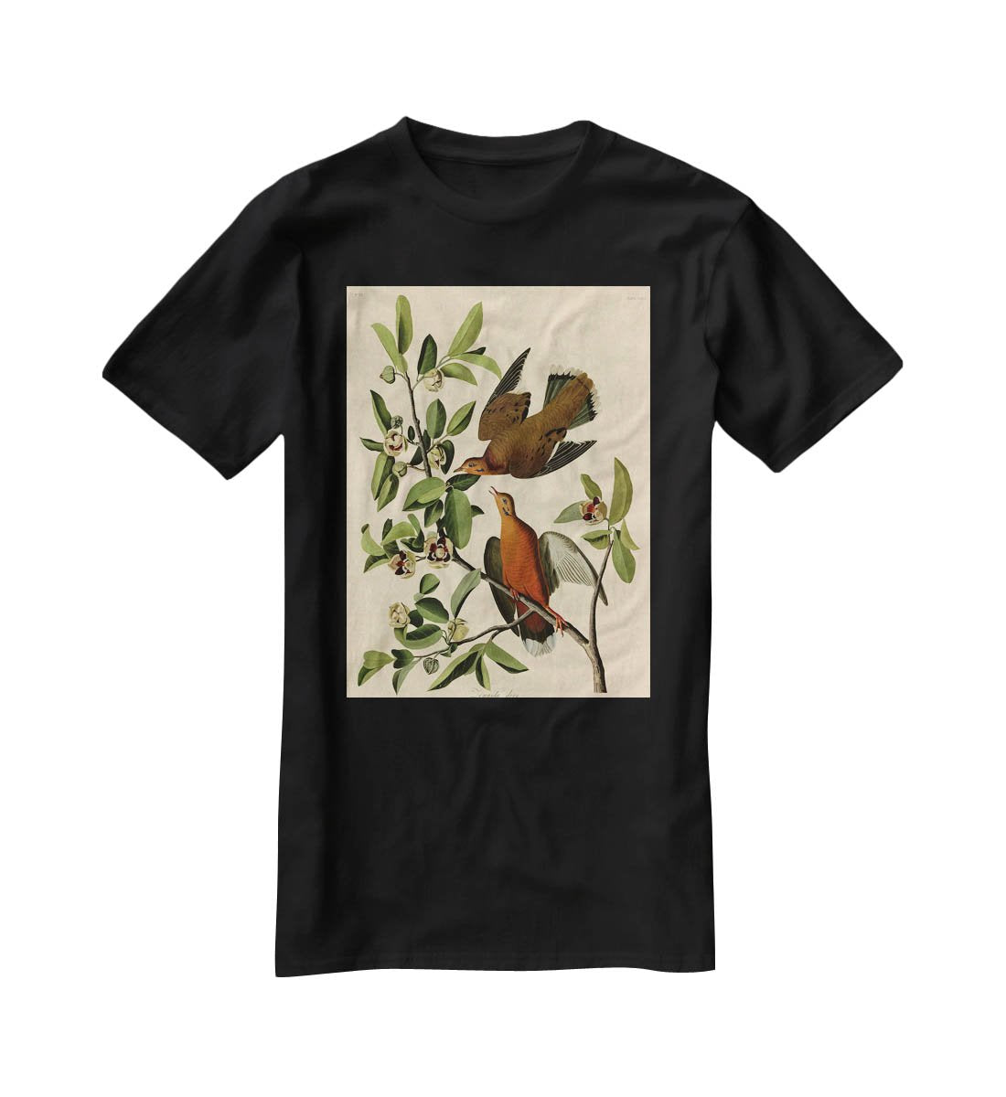 Zenaida Doves by Audubon T-Shirt - Canvas Art Rocks - 1