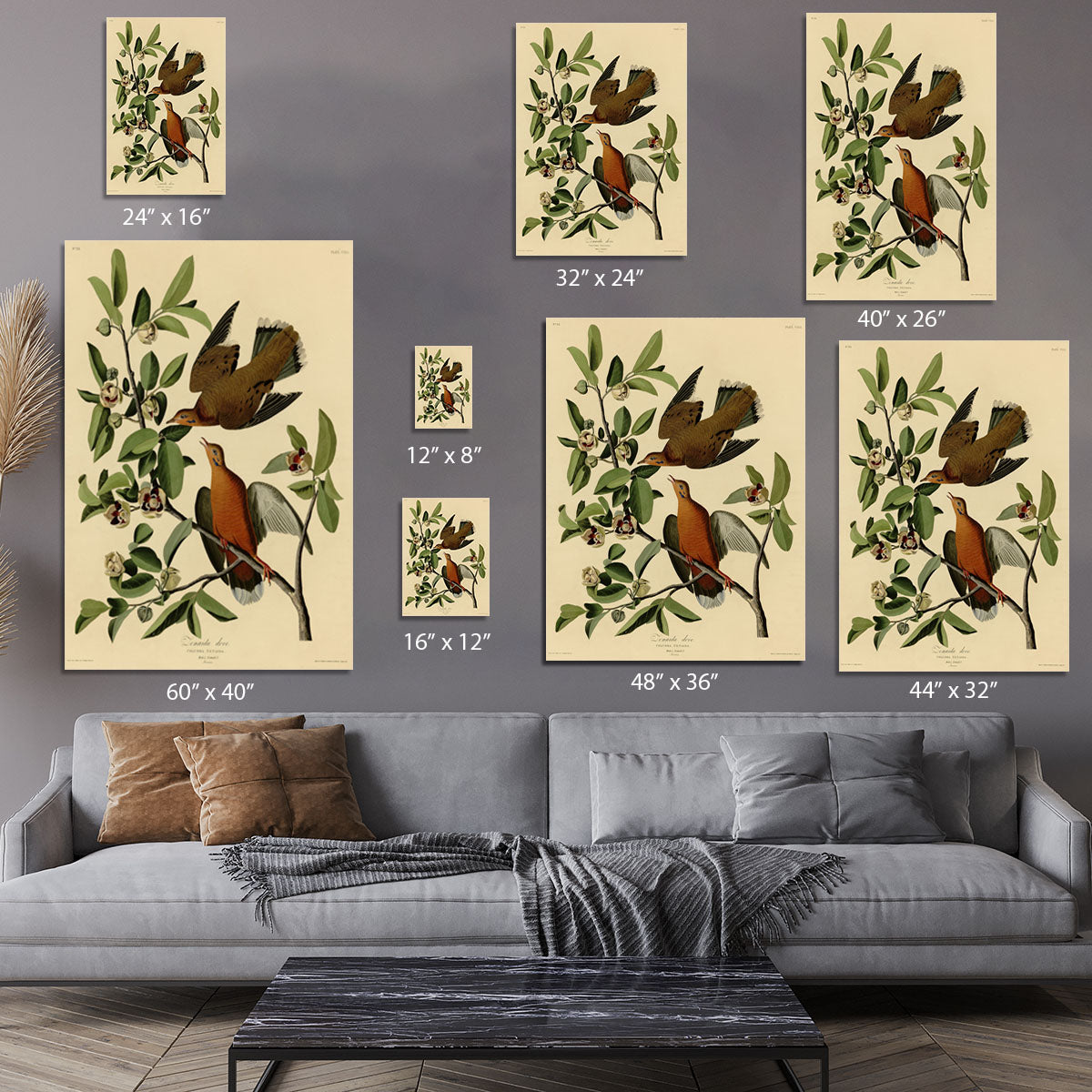 Zenaida Doves by Audubon Canvas Print or Poster - Canvas Art Rocks - 7