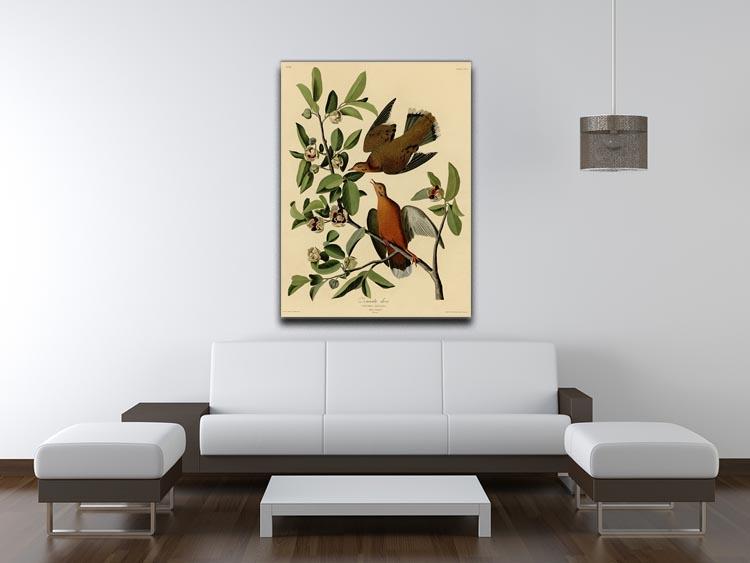 Zenaida Doves by Audubon Canvas Print or Poster - Canvas Art Rocks - 4