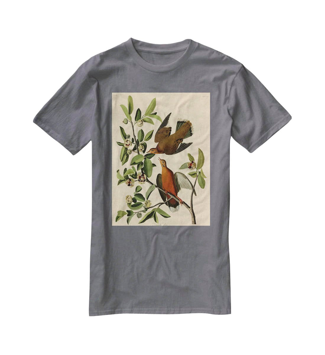 Zenaida Doves by Audubon T-Shirt - Canvas Art Rocks - 3