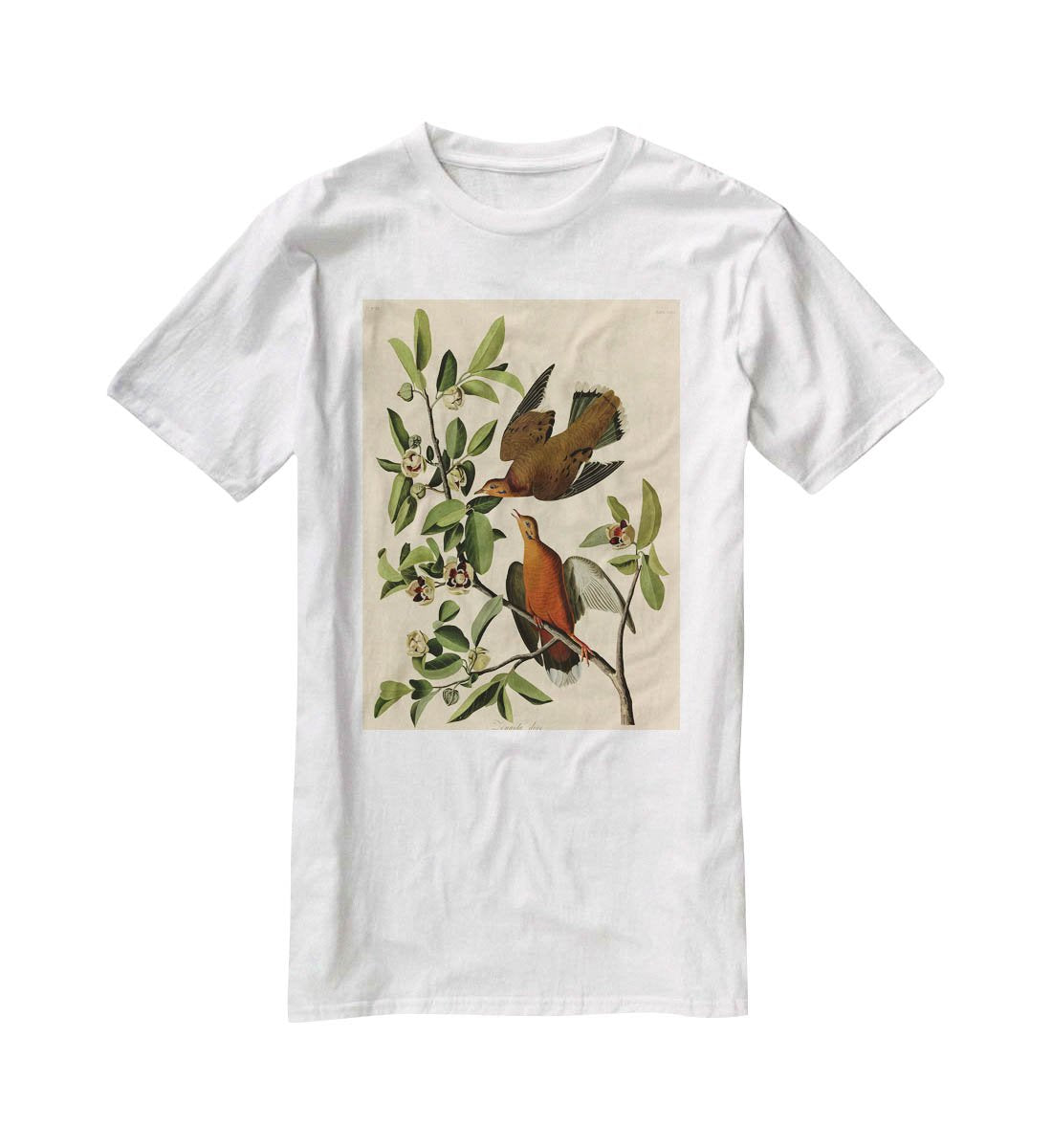 Zenaida Doves by Audubon T-Shirt - Canvas Art Rocks - 5
