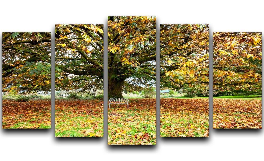 autumn leaves 5 Split Panel Canvas  - Canvas Art Rocks - 1
