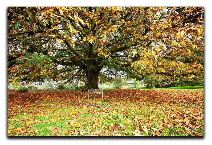 autumn leaves Canvas Print or Poster  - Canvas Art Rocks - 1