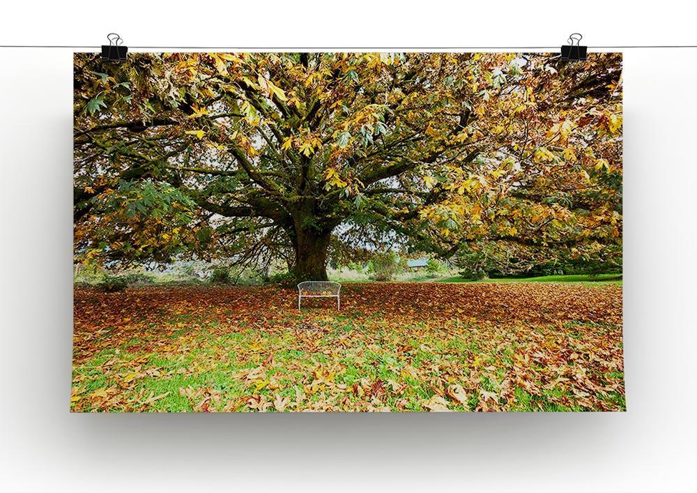 autumn leaves Canvas Print or Poster - Canvas Art Rocks - 2