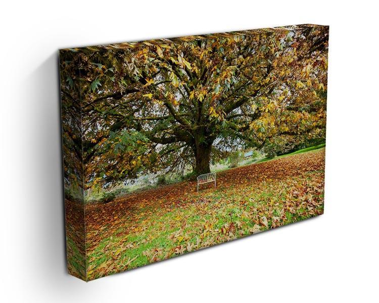 autumn leaves Canvas Print or Poster - Canvas Art Rocks - 3